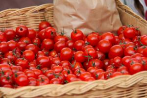 Concessione di posteggio per vendita diretta da parte di produttori agricoli